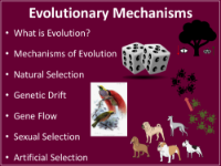 Evolutionary Mechanisms - Teaching Presentation