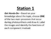 Lab Station Cards