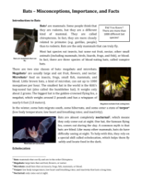 The Importance of Bats - Reading with Comprehension Questions