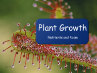 Plant Growth (Nutrients and Room) - Presentation