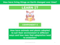 How have animals and plants adapted to suit their environment in different ways and how may that adaptation lead to evolution? -  presentation