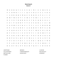 Word Search