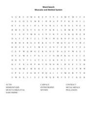 Word Search