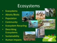 Ecosystems - Student Presentation