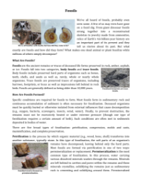 Fossils - Reading with Comprehension Questions 2