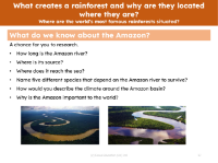 What do we know about the Amazon - Prompts