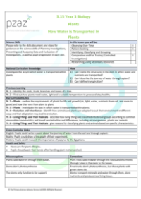 Stems - Lesson Plan