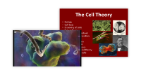 The Cell Theory