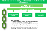 Link it! Prior knowledge - Body Parts - Kindergarten