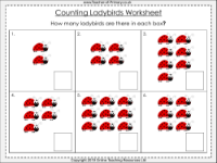 Counting Ladybirds - Worksheet