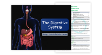 1. The Digestive System