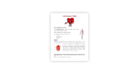 The Cardiovascular System - Reading Article