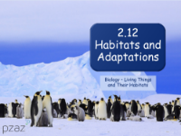 Habitats and Adaption - Presentation