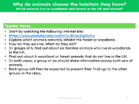 Which animals live in woodlands and forests in the UK and abroad? - Teacher notes