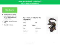 Which are amphibians? - Word sort