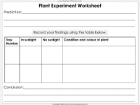 Plant Requirements - Worksheet