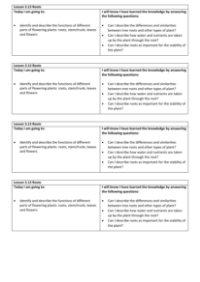 Roots - Objectives Labels