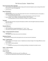 The Nervous System - Signal Transmission - Student Lesson Outline