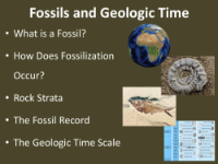 Fossils and Geologic Time - Teaching Presentation