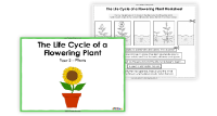 1. The Life Cycle of a Flowering Plant