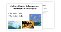 The Cycling of Matter: The Water and Carbon Cycles