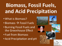 Biomass and Fossil Fuels - Student Presentation