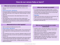 How do our senses help us learn? - Lesson