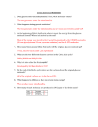 Krebs Cycle - Worksheet with Answers