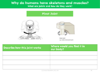 Pivot joint - Worksheet