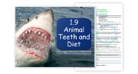 9. Animal Diets