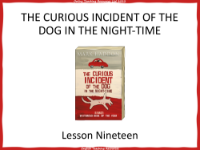 The Curious Incident of the Dog in the Night time   Lesson 19 - PowerPoint