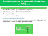 How are seeds dispersed? - teacher's notes