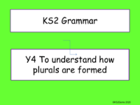 Plurals Presentation