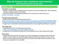 What are joints and how do they work? - Teacher notes