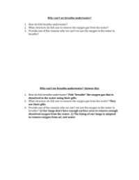 Human Respiratory - Breathing Worksheet