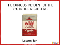 The Curious Incident of the Dog in the Night time   Lesson 10 - PowerPoint