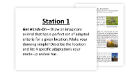 Physical & Behavioral Adaptations - 7 Engaging Lab Stations