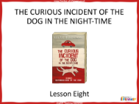 The Curious Incident of the Dog in the Night time   Lesson 8 - PowerPoint