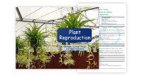Plant Reproduction