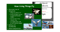 How Living Things Fly