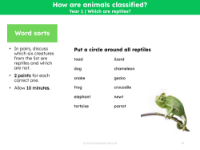 Which are reptiles? - Word sort