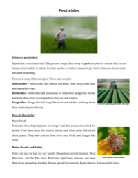 Pesticides - Reading with Comprehension Questions