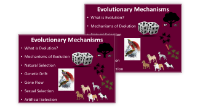 Evolutionary Mechanisms