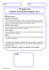 Spring Term Grammar and Punctuation Progress Test 1