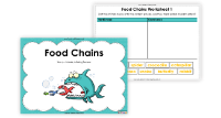 4. Food Chains