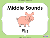 Middle Sounds - Worksheet