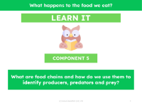 What are food chains and how we do use them to identify producers, predators and prey?  - Presentation