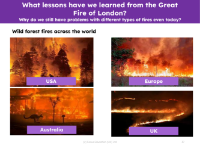 Forest fires - Pictures