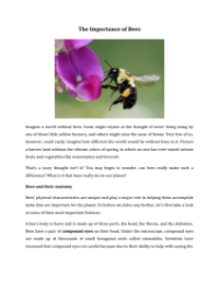 The Importance of Bees - Reading with Comprehension Questions