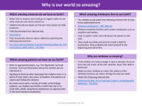 Why is our world so amazing? - Lesson